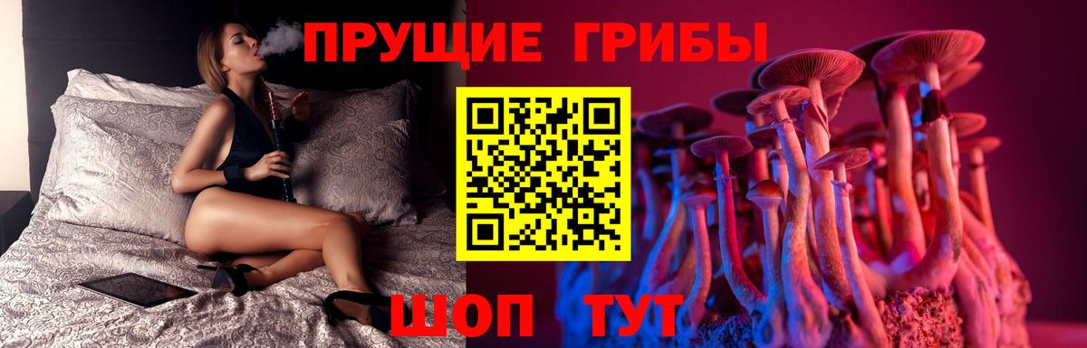 где купить наркоту  Галлюциногенные грибы ЛСД  Вход с VPN  Краснознаменск 